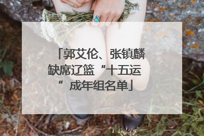 郭艾伦、张镇麟缺席辽篮“十五运”成年组名单