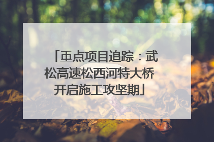 重点项目追踪：武松高速松西河特大桥开启施工攻坚期