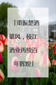 重振楚酒雄风，枝江酒业再续百年辉煌