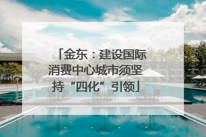 金东：建设国际消费中心城市须坚持“四化”引领