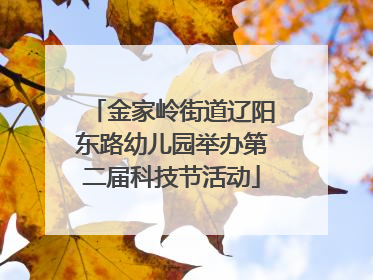 金家岭街道辽阳东路幼儿园举办第二届科技节活动