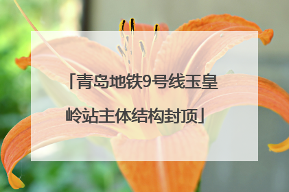 青岛地铁9号线玉皇岭站主体结构封顶