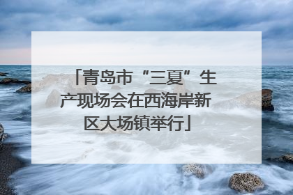 青岛市“三夏”生产现场会在西海岸新区大场镇举行