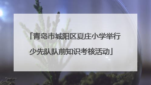 青岛市城阳区夏庄小学举行少先队队前知识考核活动