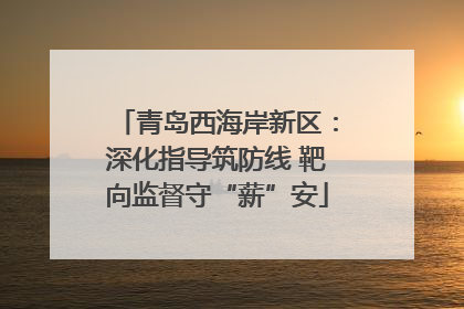 青岛西海岸新区：深化指导筑防线 靶向监督守“薪”安