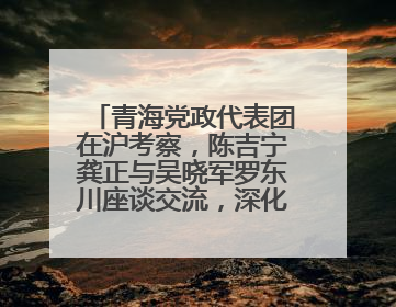 青海党政代表团在沪考察，陈吉宁龚正与吴晓军罗东川座谈交流，深化合作对接