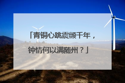 青铜心跳震颤千年，钟情何以满随州？