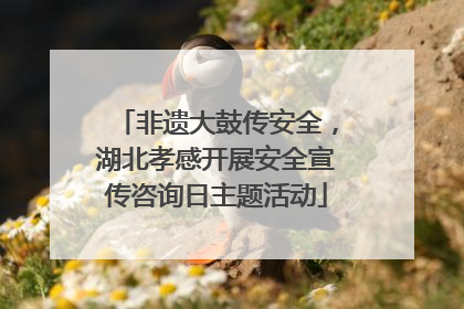 非遗大鼓传安全，湖北孝感开展安全宣传咨询日主题活动