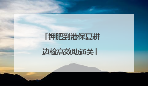 钾肥到港保夏耕 边检高效助通关