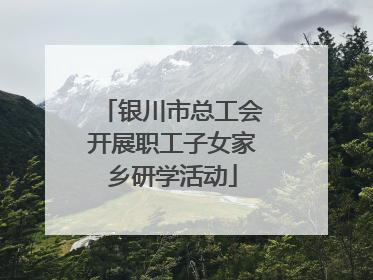 银川市总工会开展职工子女家乡研学活动