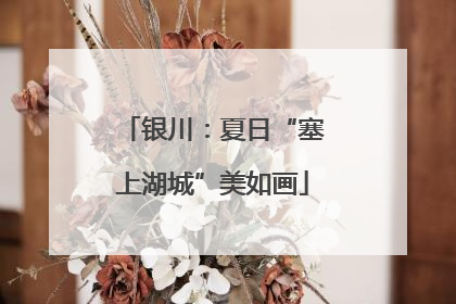 银川：夏日“塞上湖城”美如画