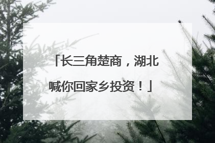 长三角楚商，湖北喊你回家乡投资！