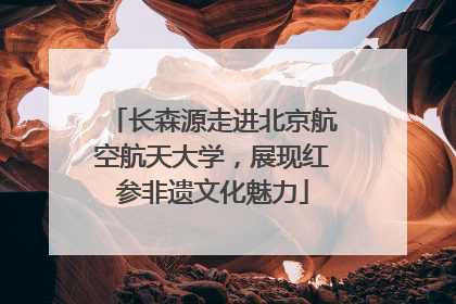 长森源走进北京航空航天大学，展现红参非遗文化魅力