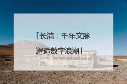 长清：千年文脉邂逅数字浪潮