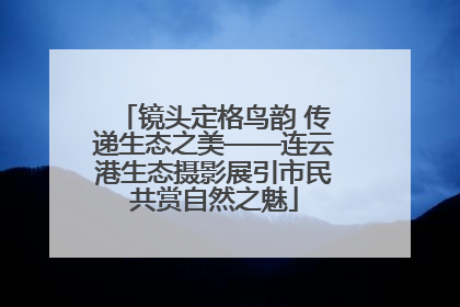 镜头定格鸟韵 传递生态之美——连云港生态摄影展引市民共赏自然之魅