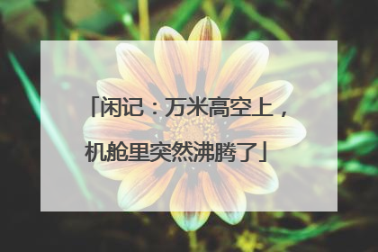 闲记：万米高空上，机舱里突然沸腾了