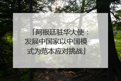 阿根廷驻华大使：发展中国家以中国模式为范本应对挑战