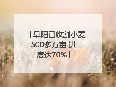 阜阳已收割小麦500多万亩 进度达70%