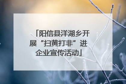 阳信县洋湖乡开展“扫黄打非”进企业宣传活动