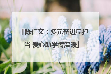 陈仁文：多元奋进显担当 爱心助学传温暖
