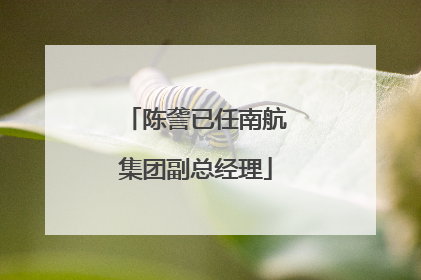 陈詟已任南航集团副总经理