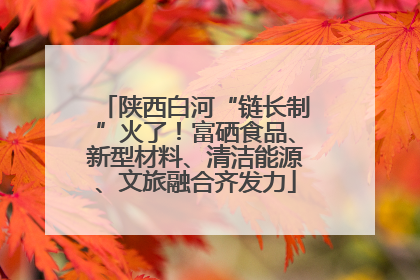 陕西白河“链长制”火了！富硒食品、新型材料、清洁能源、文旅融合齐发力