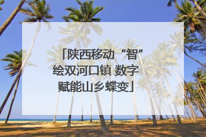 陕西移动“智”绘双河口镇 数字赋能山乡蝶变