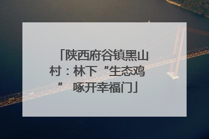 陕西府谷镇黑山村：林下“生态鸡” 啄开幸福门
