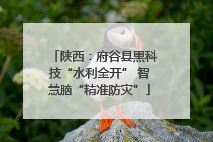 陕西：府谷县黑科技“水利全开” 智慧脑“精准防灾”