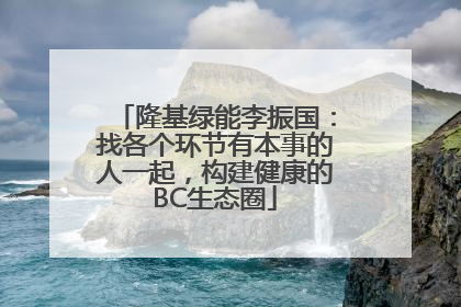隆基绿能李振国：找各个环节有本事的人一起，构建健康的BC生态圈