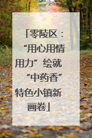 零陵区：“用心用情用力”绘就“中药香”特色小镇新画卷