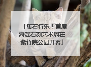 集石行乐！首届海淀石刻艺术周在紫竹院公园开幕