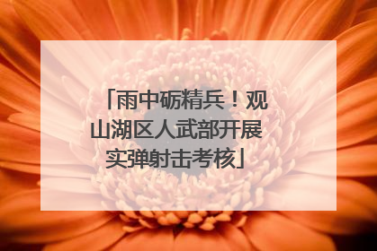 雨中砺精兵！观山湖区人武部开展实弹射击考核