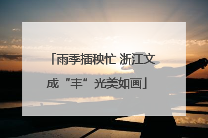 雨季插秧忙 浙江文成“丰”光美如画
