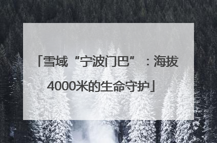 雪域“宁波门巴”：海拔4000米的生命守护