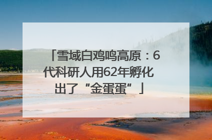 雪域白鸡鸣高原：6代科研人用62年孵化出了“金蛋蛋”