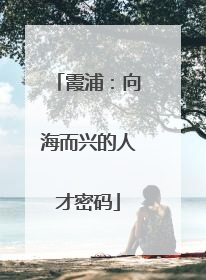 霞浦：向海而兴的人才密码