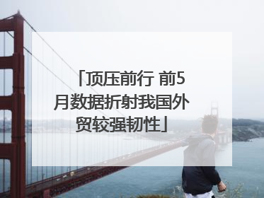 顶压前行 前5月数据折射我国外贸较强韧性