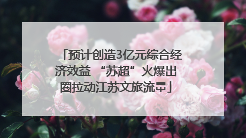 预计创造3亿元综合经济效益 “苏超”火爆出圈拉动江苏文旅流量