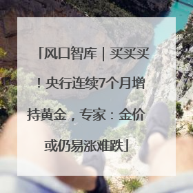 风口智库｜买买买！央行连续7个月增持黄金，专家：金价或仍易涨难跌