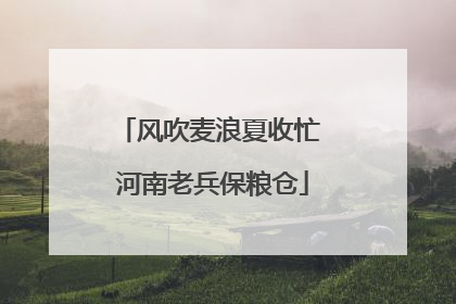 风吹麦浪夏收忙 河南老兵保粮仓