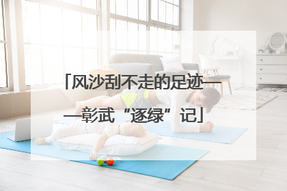 风沙刮不走的足迹——彰武“逐绿”记