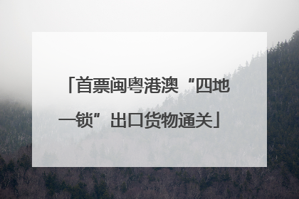 首票闽粤港澳“四地一锁”出口货物通关