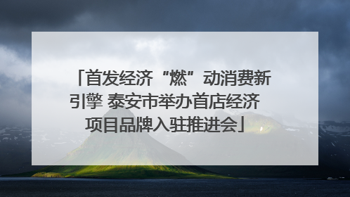 首发经济“燃”动消费新引擎 泰安市举办首店经济项目品牌入驻推进会