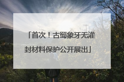 首次！古蜀象牙无灌封材料保护公开展出