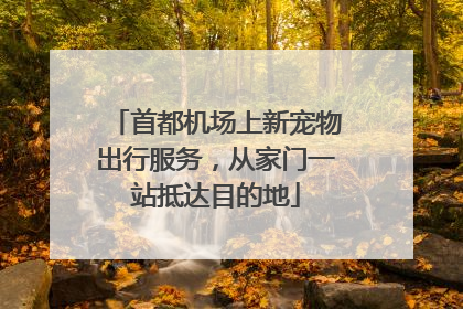 首都机场上新宠物出行服务，从家门一站抵达目的地