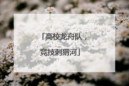 高校龙舟队，竞技刺猬河