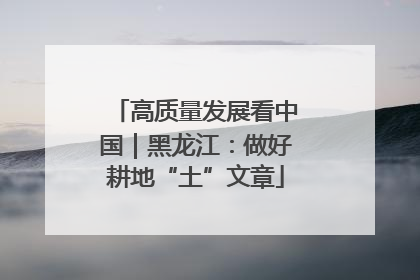 高质量发展看中国｜黑龙江：做好耕地“土”文章