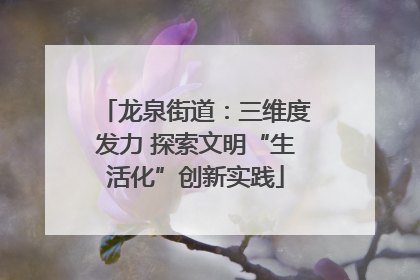 龙泉街道：三维度发力 探索文明“生活化”创新实践