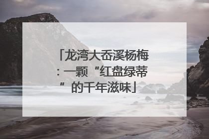 龙湾大岙溪杨梅：一颗“红盘绿蒂”的千年滋味